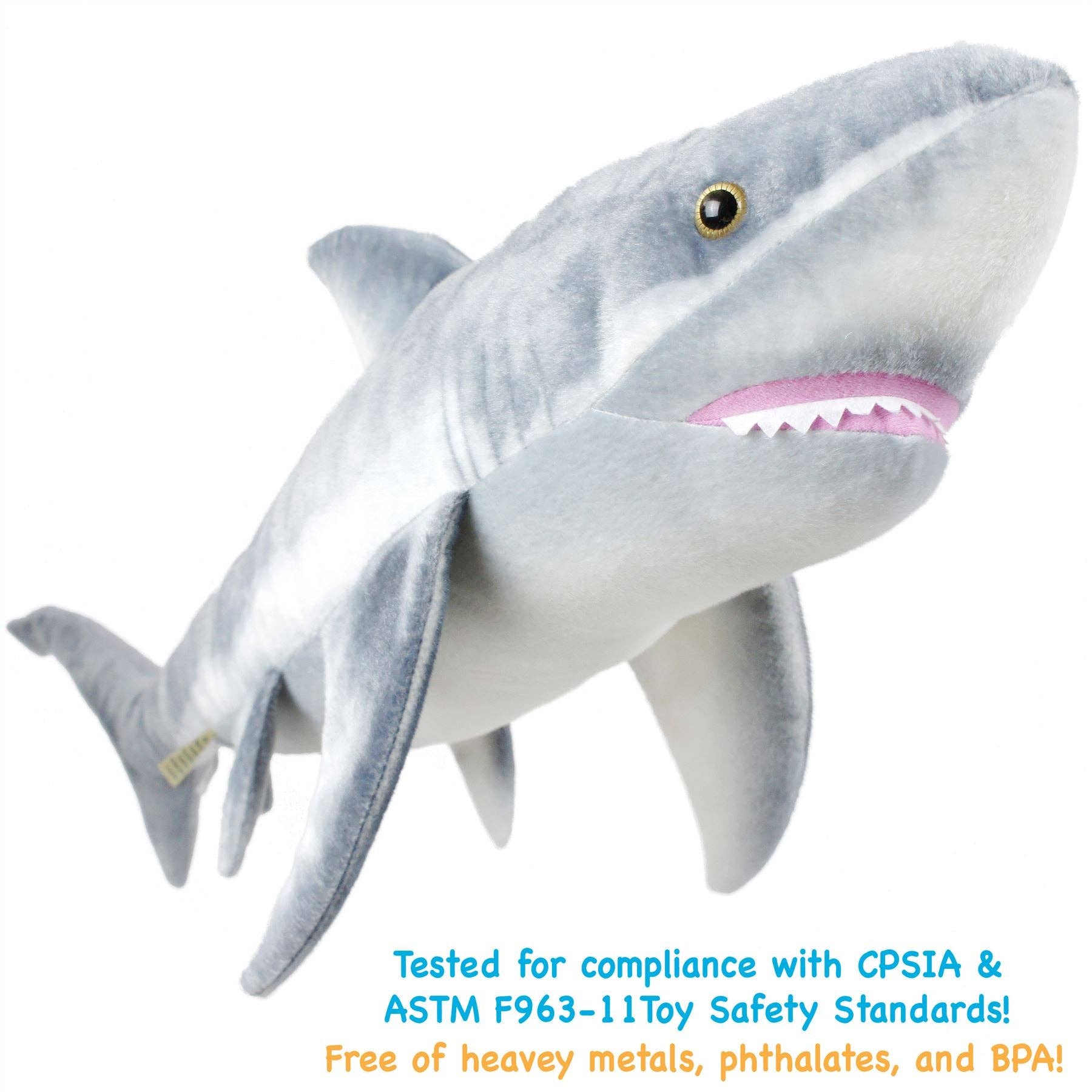 Sammy The Shark