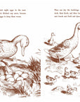 Make Way For Ducklings Board Book