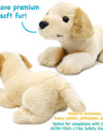 Lorrie the Labrador