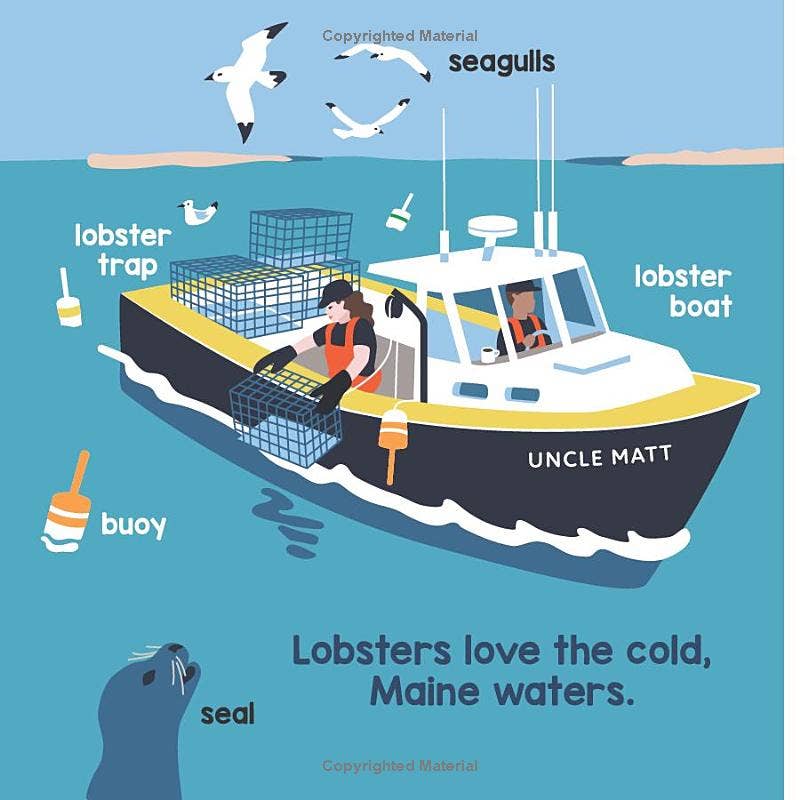 Local Baby Maine