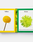 Rainbows in Bloom: Discovering Colors with Flowers