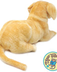 Mason The Labrador
