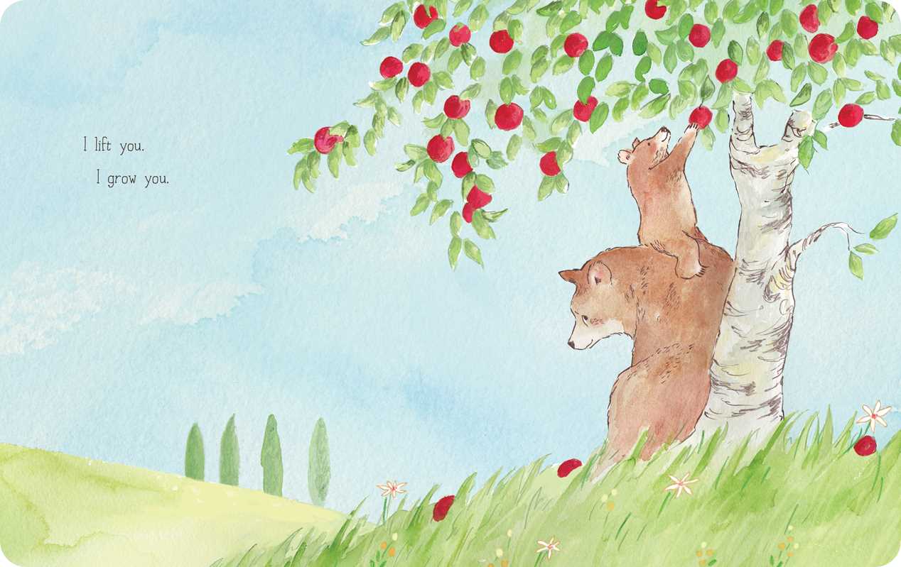 I Heart You by Meg Fleming: Board Books; 36 pages / English