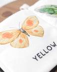 COLORS OF BUTTERFLIES