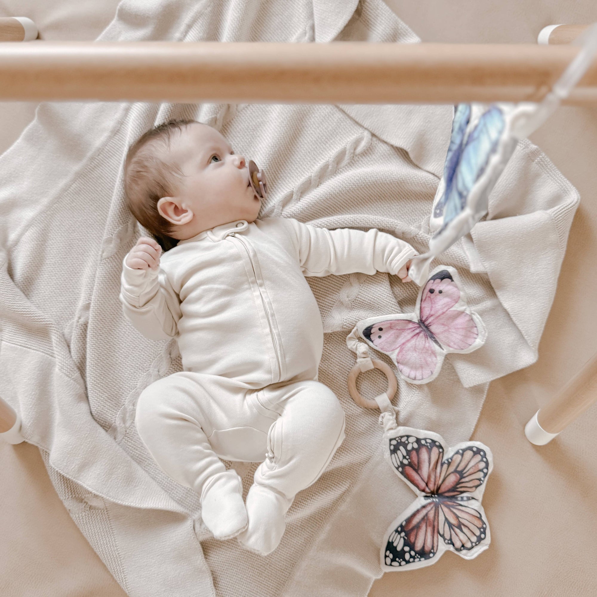 Butterflies Baby Toy