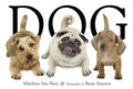 Dog by Matthew Van Fleet: Novelty; 20 pages / English