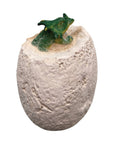 Dino Dig Excavation Kit
