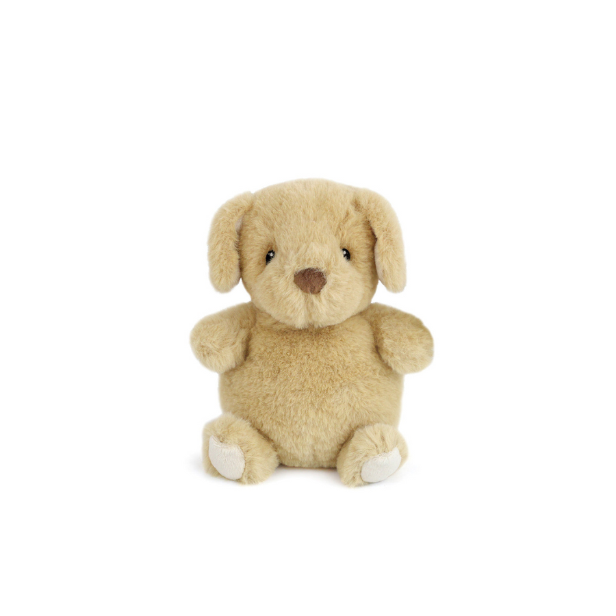 Penut the Petite Puppy