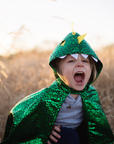 Dragon Toddler Cape