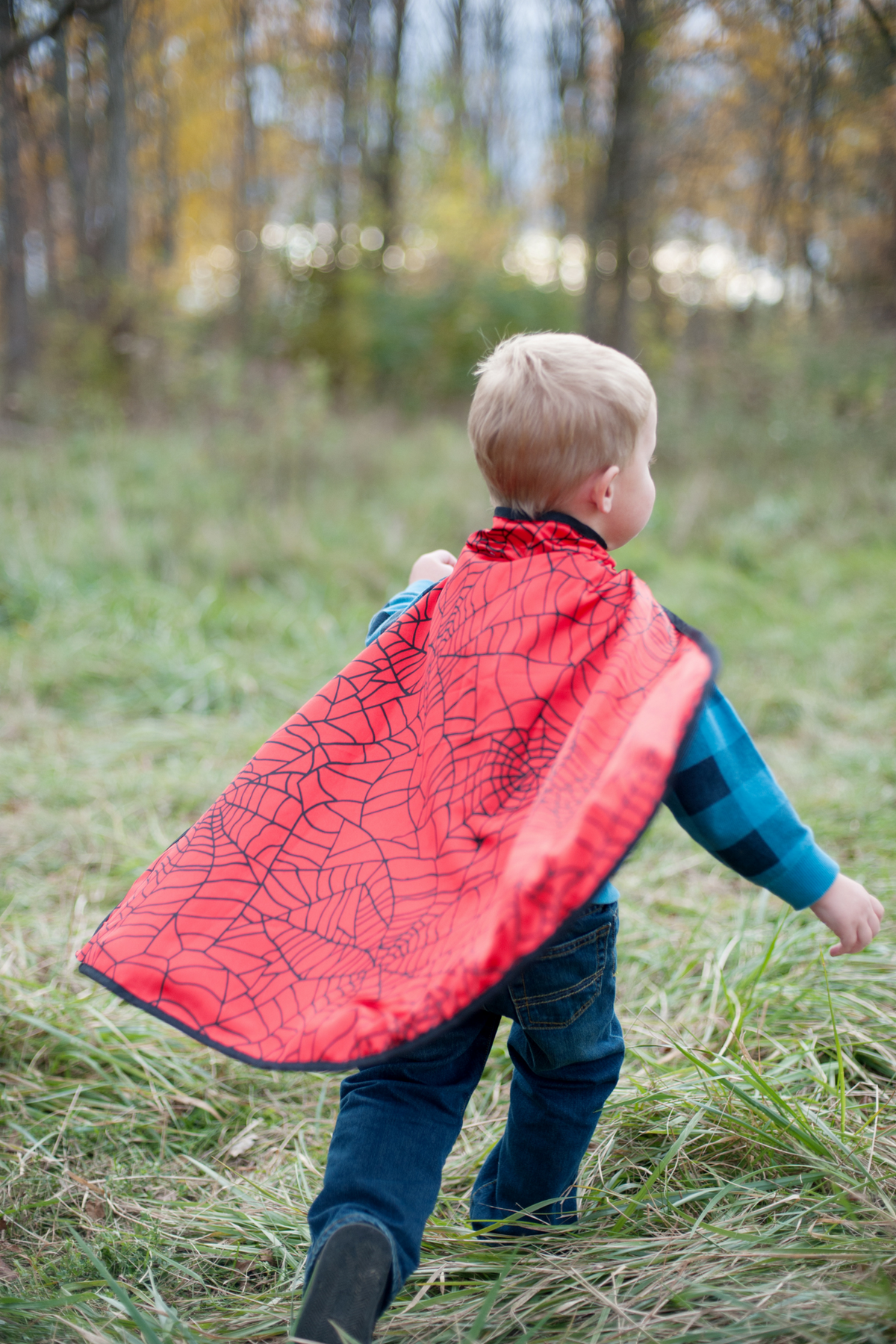 Color-A-Cape Reversible Spider Superhero