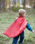 Color-A-Cape Reversible Spider Superhero