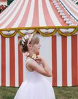 Stripy Star Fabric Clip Set