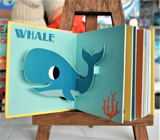 pop up ocean book inside