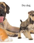 Dog by Matthew Van Fleet: Novelty; 20 pages / English