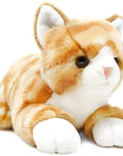 Tamarr the Orange Tabby Cat