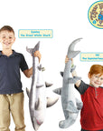 Sammy The Shark