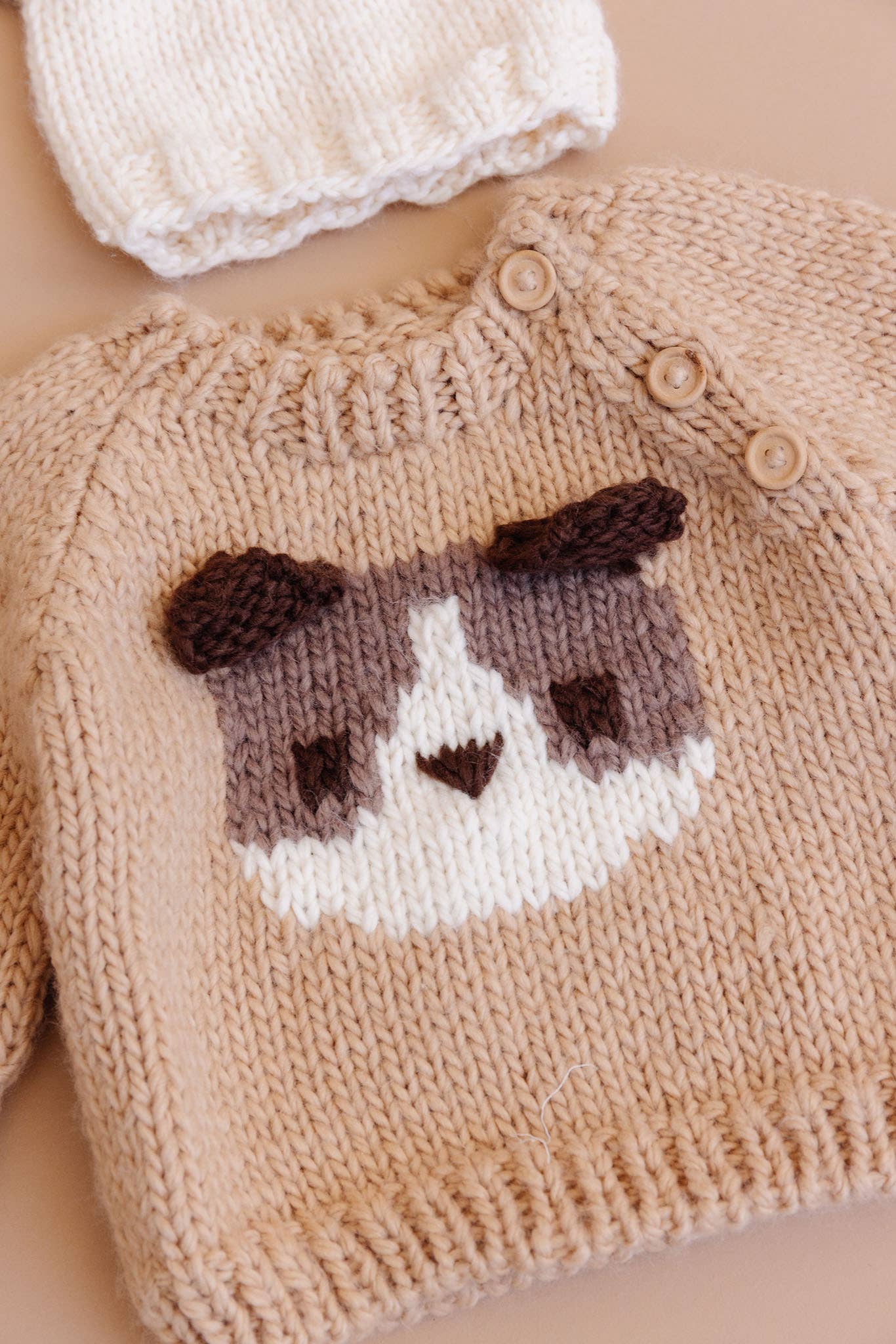 Dog Pullover 3D Sweater Baby Kid Fall Winter School: Latte / XS 6-12m