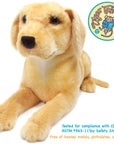 Mason The Labrador