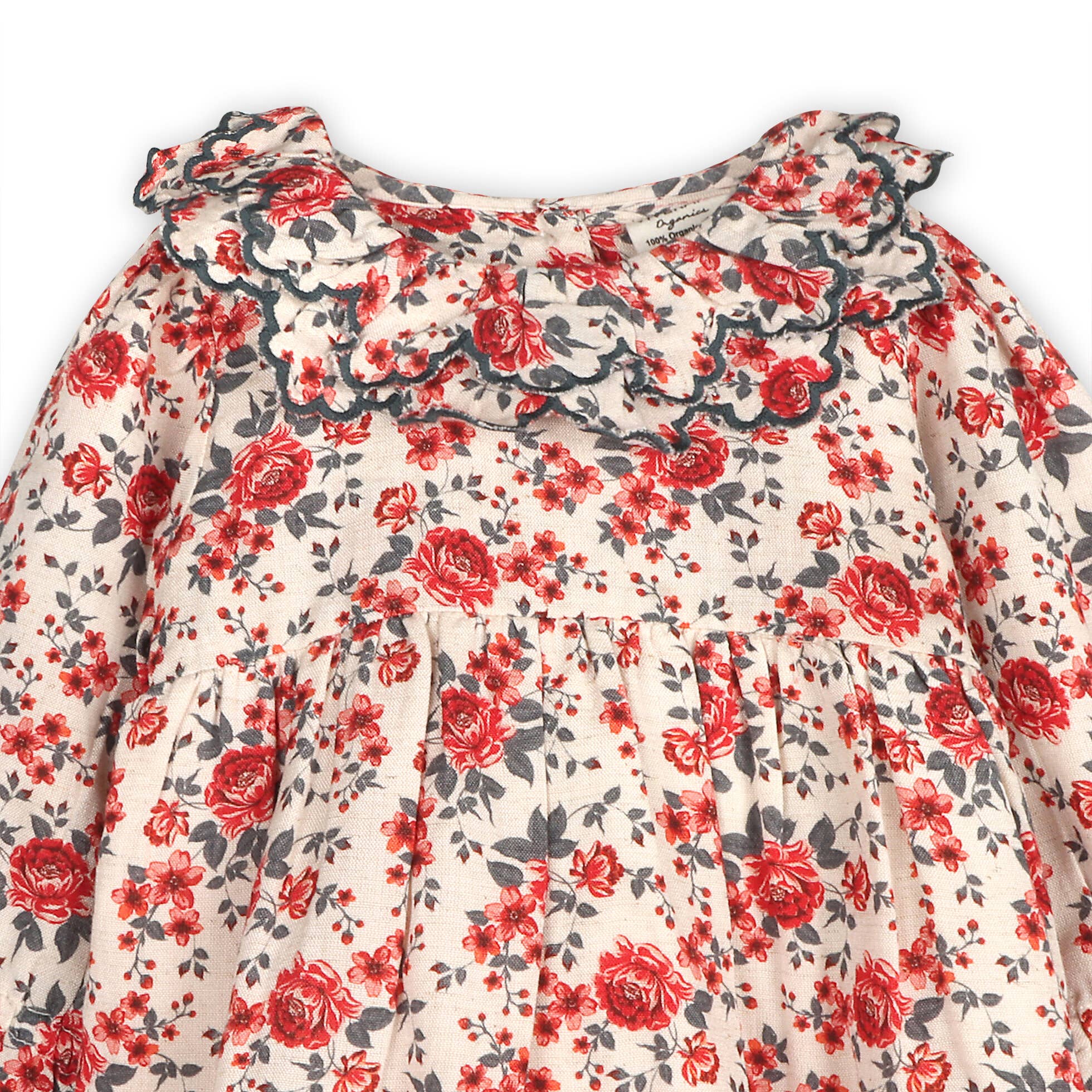 Amour Rose Floral Ruffle Baby Dress &amp; Bloomer