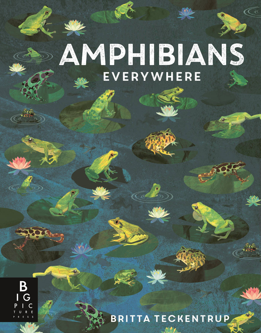 Amphibians Everywhere