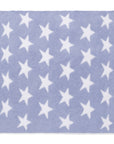 Chenille - Dusty Blue Star Blanket