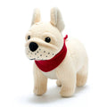 French Bull Dog
