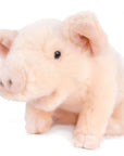 Perla The Pig