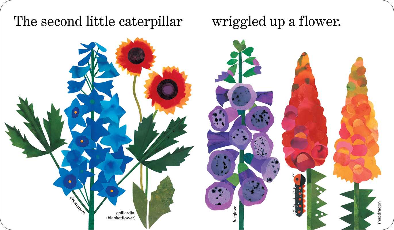 Ten Little Caterpillars by Bill Martin Jr.: Board Books; 40 pages / English
