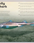 Magnificent Book of Sharks by Barbara Taylor
