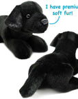 Blythe The Black Lab