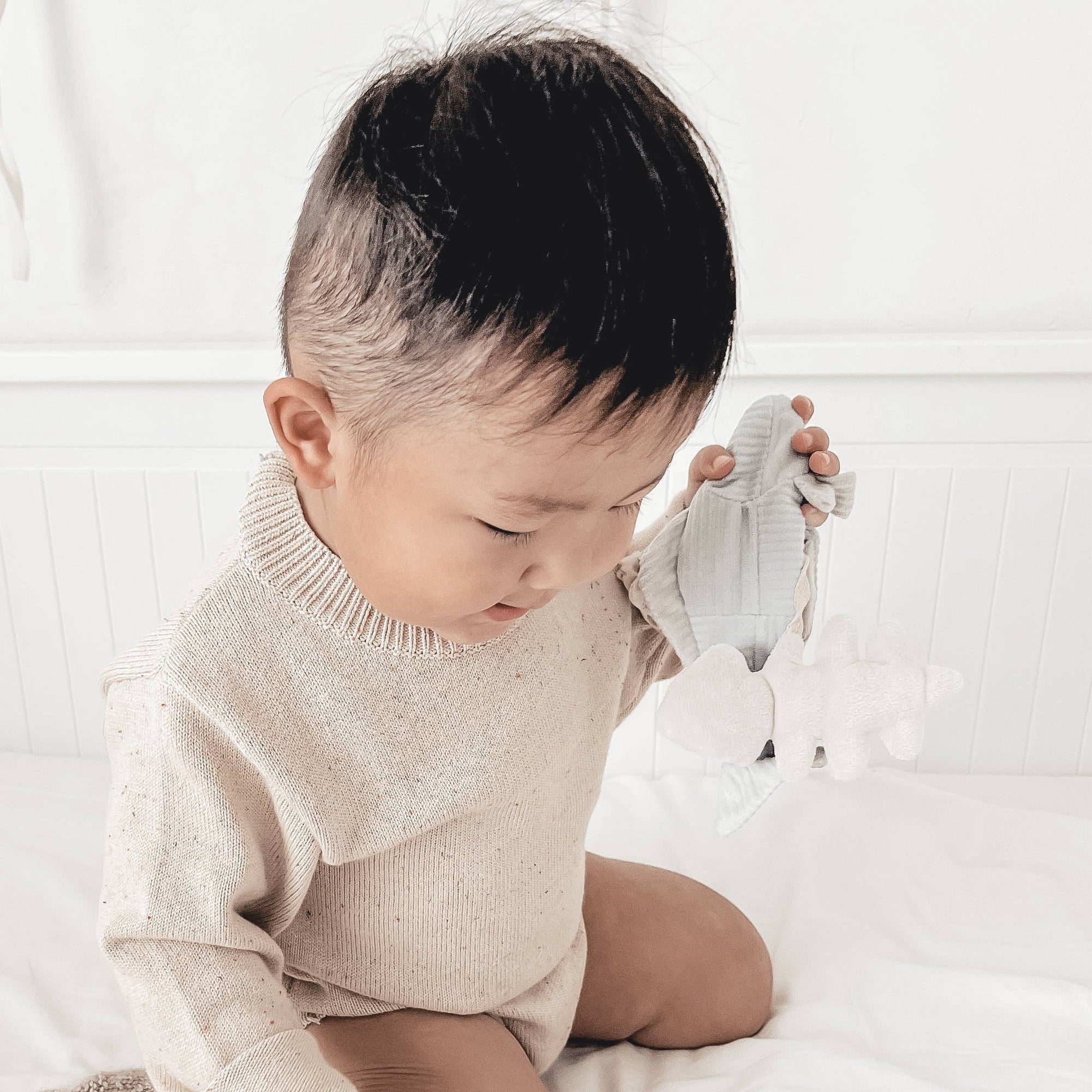 Fish Handheld Baby Rattle