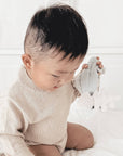Fish Handheld Baby Rattle
