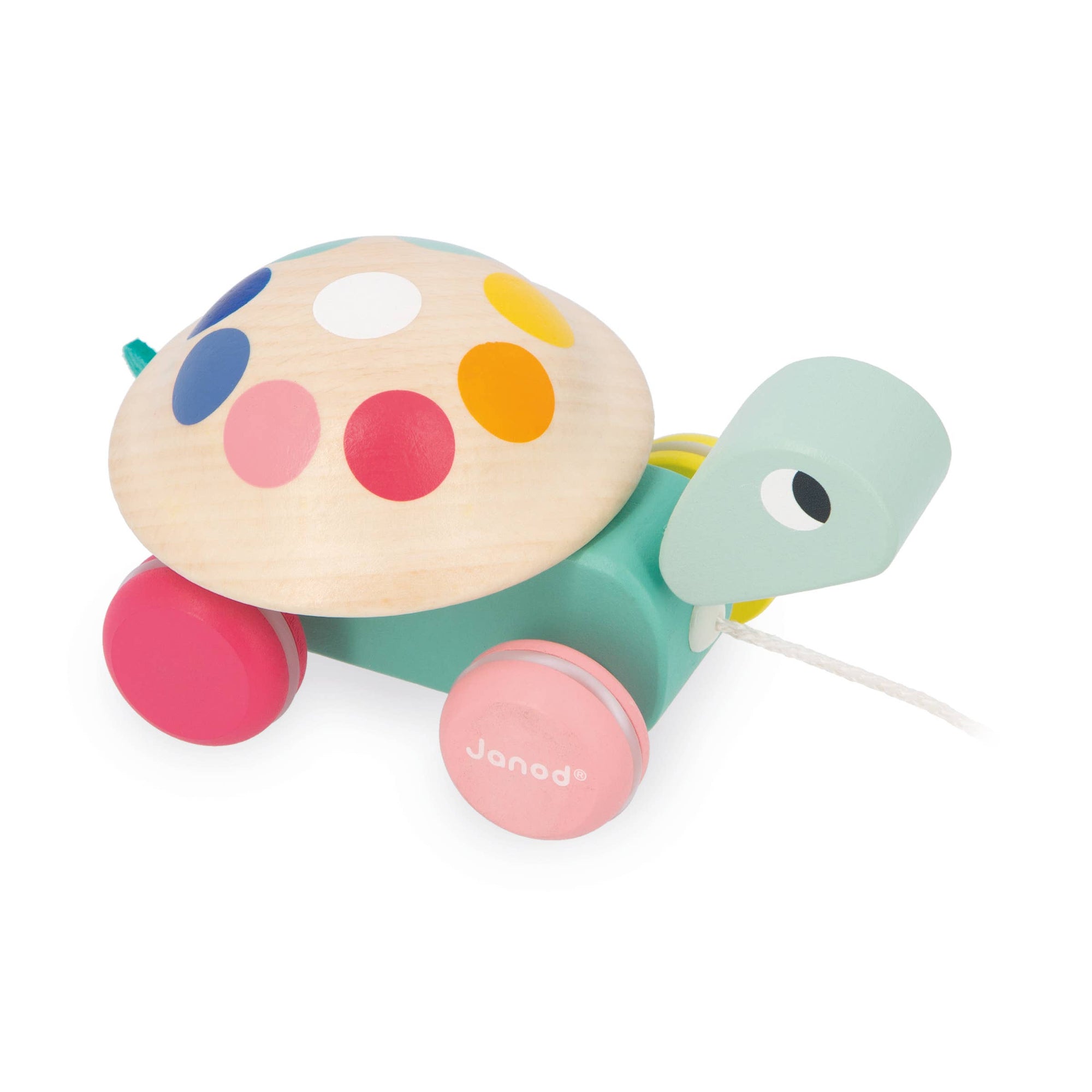 Zigolos Pull-Along Turtle