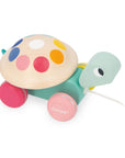 Zigolos Pull-Along Turtle