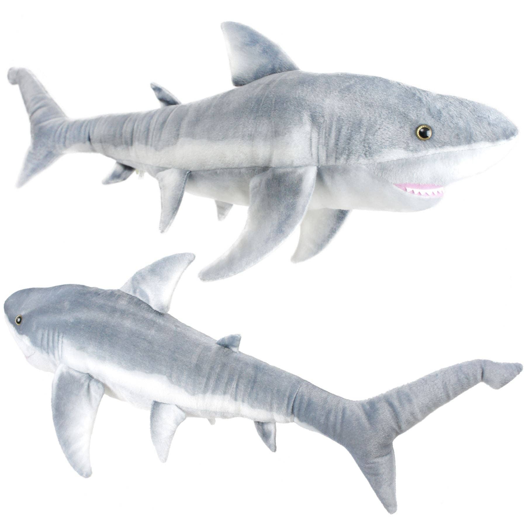 Sammy The Shark