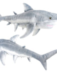 Sammy The Shark