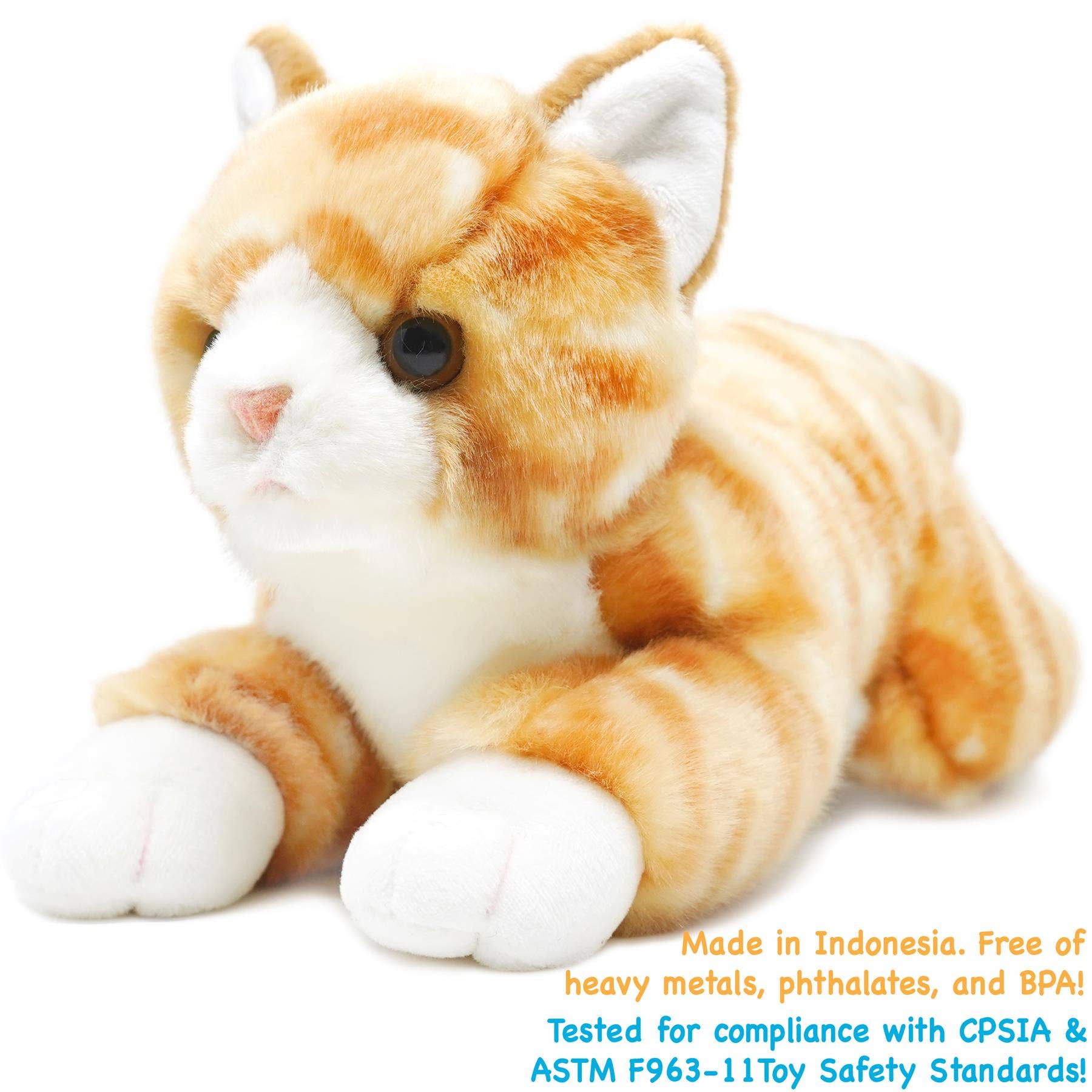 Tamarr the Orange Tabby Cat