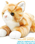 Tamarr the Orange Tabby Cat