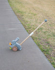 Bunny roll-along push toy