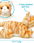 Tamarr the Orange Tabby Cat