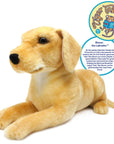 Mason The Labrador