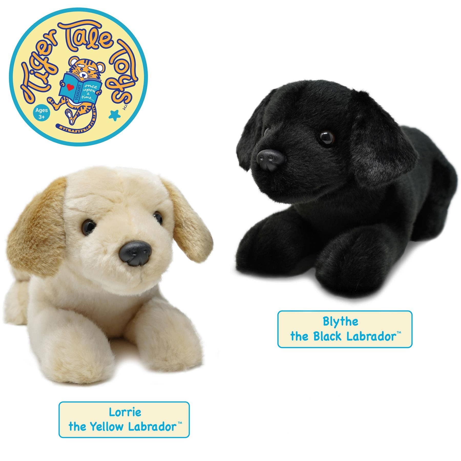 Lorrie the Labrador