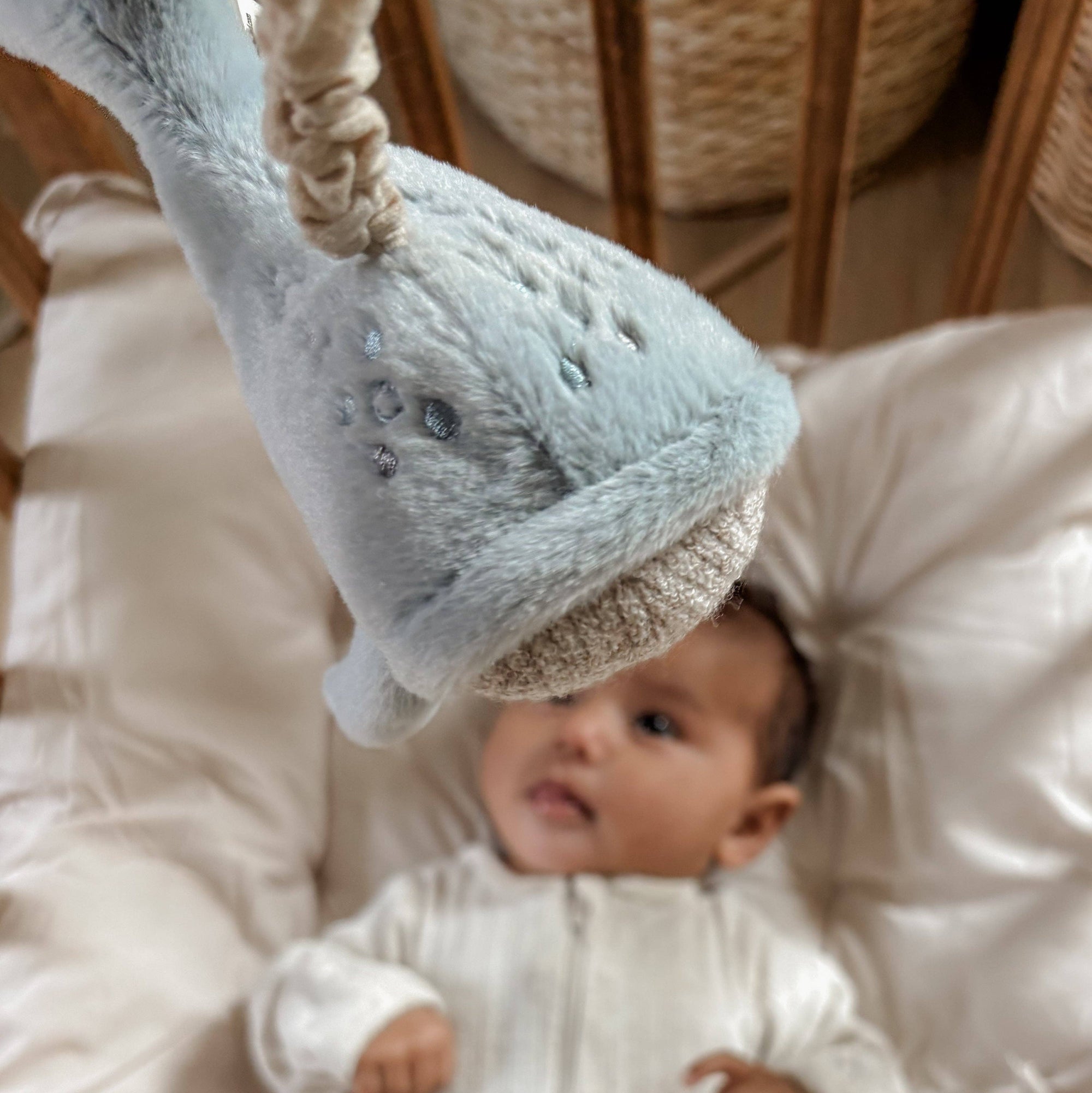 Whale Babu Rattle Set