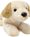 Lorrie the Labrador