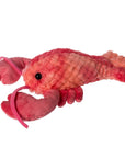 Perfectly Pink Lobster