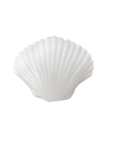 Seaside Clamshell Squeeze Squishy