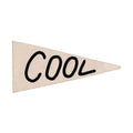 Cool Pennant