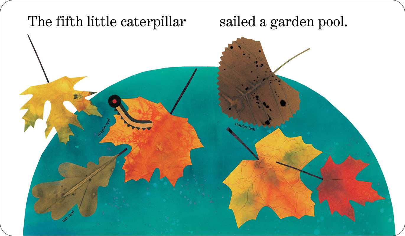 Ten Little Caterpillars by Bill Martin Jr.: Board Books; 40 pages / English