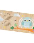 Touch and Trace Nursery Rhymes: Five Little Pumpkins by Editors of Silver Dolphin Books: Board Books; 10 pages / English
