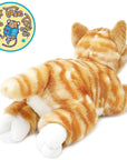 Tamarr the Orange Tabby Cat